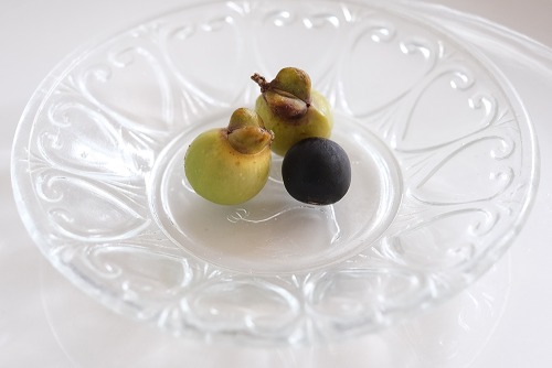 京都府立植物園でムクロジの実を拾いました。黒い種子は昔、羽根つきの羽の珠として使われていました。小さいのに、けっこうズッシリと重さがあります。ムクロジ（無患子）→子供の無病息災のお守りにもなります。さ
