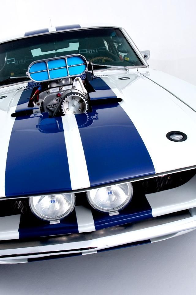bvmblebee:  bvmblebee Ford Mustang | Unknown Photographer (I am still searching) 