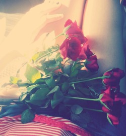 #flower #rose