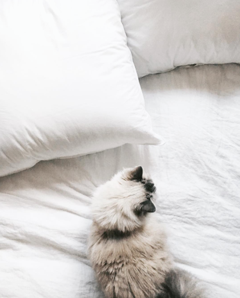 theglossiernerd:  photo credit chloecleroux 