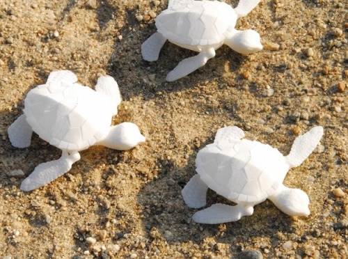 Baby Sea Turtles by Brian Chan - 3D Print - Shapeways