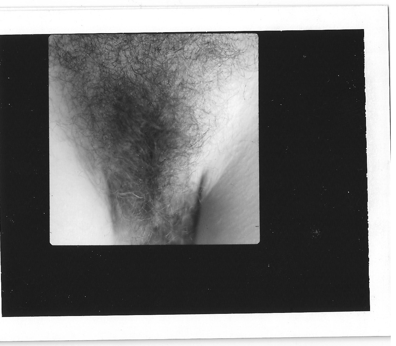 Daniel Bauer Vintage-Polaroids for sale.This  one was taken with the Hasselblad with
