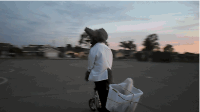 aceofheartsfox:aceofheartsfox:I was looking through some old footage from scrapped video ideas that I filmed with ponyquest, and found this. haha. X3 “Science fox on a scooter says: follow your dreams!"   