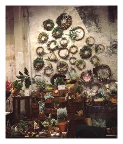 elasan:  Wonderful winter wreaths from Vesaire at Souq🌿 