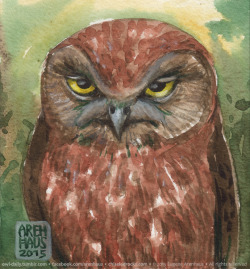 owl-daily:  №165: Business-meaning owl.