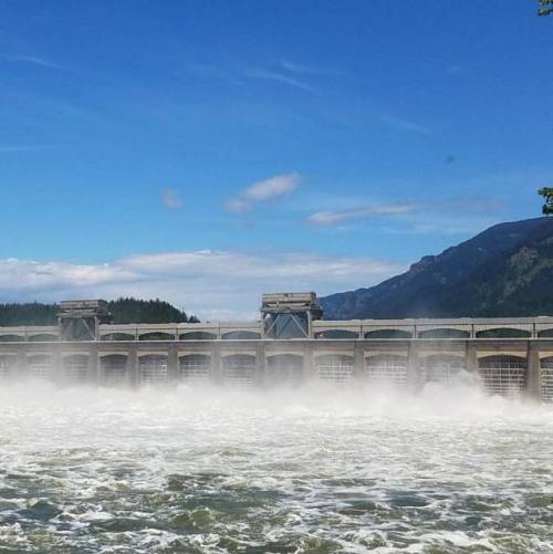 Damn fine day for a damn. #columbiariver #columbiarivergorge #columbiagorge #pnw #pacificnorthwest #