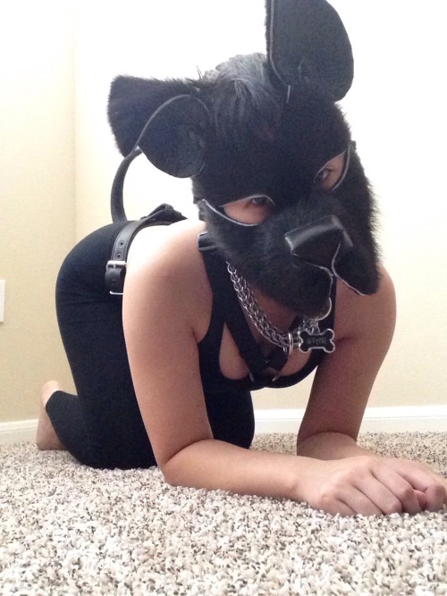 Porn photo p0cket-pup:  star-pup:  Somebody play?  Dawwwwh