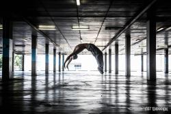 notquitecat:  Antek doing flips for me in a carpark. by Cat Sweeny