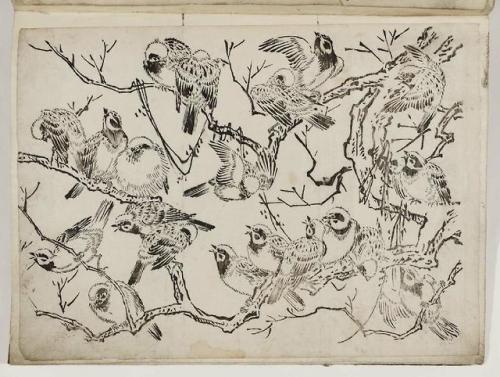 heaveninawildflower:‘Flock of Sparrows in Tree’ (Japanese, mid to late 18th century). Artist unknown