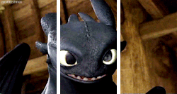 luciawestwick:  Hey, Toothless. I’m happy