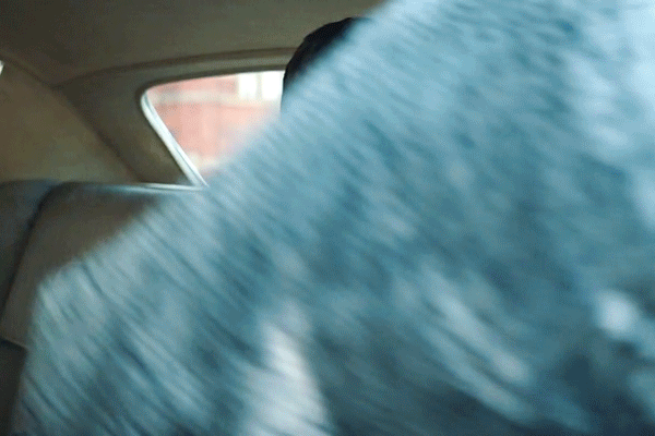 6bdf3ae2bf2873a40e4bd190afdd5d6da9962a04.gifv