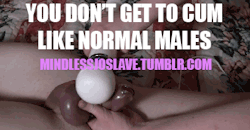 Mindlessjoslave:  Normal Males Get To Cum In Female Pussy. You Cum Inside Your Handpussy.normal