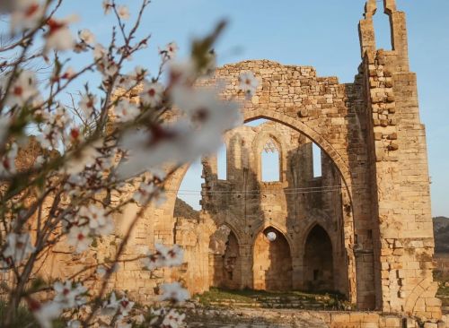 useless-catalanfacts:Spring in the abandoned Medieval monastery of Santa Maria de Vallsanta, Ponent,