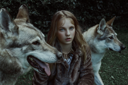 inferior:  Brave Hearts Kingdom By Marta Bevacqua