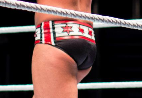 wweass:  Punk’s Butt. ;) A must have on your dash. :)