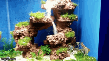 Kfighter Com Aquarium Sandlikewaterfall 水中滝 砂