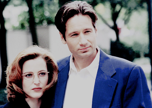 qilliananderson:Gillian Anderson &amp; David Duchovny, Unknown Photoshoot.