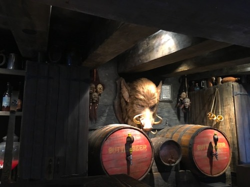 The eponymous Hog’s Head presiding over the Butterbeer taps at the bar of the Hog’s Head