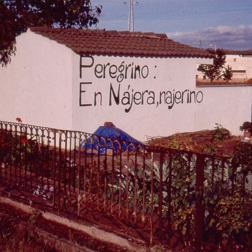 “Peregrino: En Nájera, najerino,” 2001.