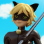 sillychatonnoir