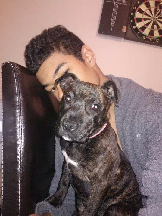 ~staffie love~