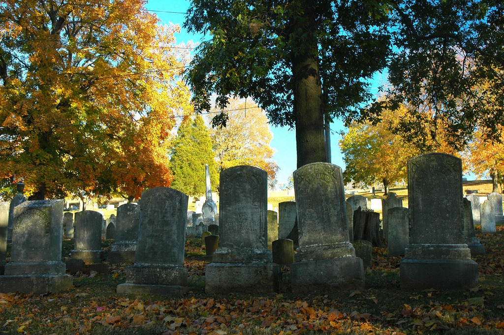 octoberyet:Photos by Whitney G