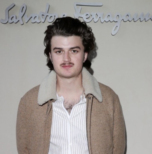 Joe Keery Chest Hair Appreciation Post