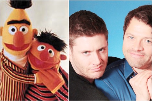 destielette:  “There are two things I know for certain: one, Bert and Ernie are gay” . . . . Credits : photo op 1 Photo op 2 photo op 3 Gifs : @mishasminions