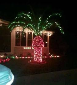 glitteringgoldie:  mY FRIEND CHARLES JU ST POSTJED THIS HE PUT LIGHTS ON H IS FUCKIGN PALM TREE AND he diDNT REALIZE IT WOULD LOok LIKE A COCK JIZZING IM CRYING??? ???? ????////// / / / / 