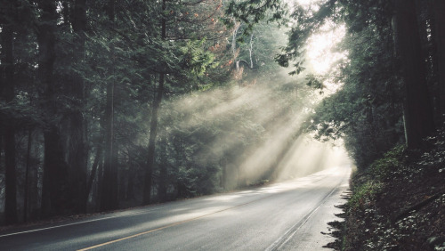 englishsnow:   Tyler Forest-Hauser 