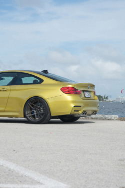 nckdvs:  BMW M4 by ADV1WHEELS // NCK.DVS