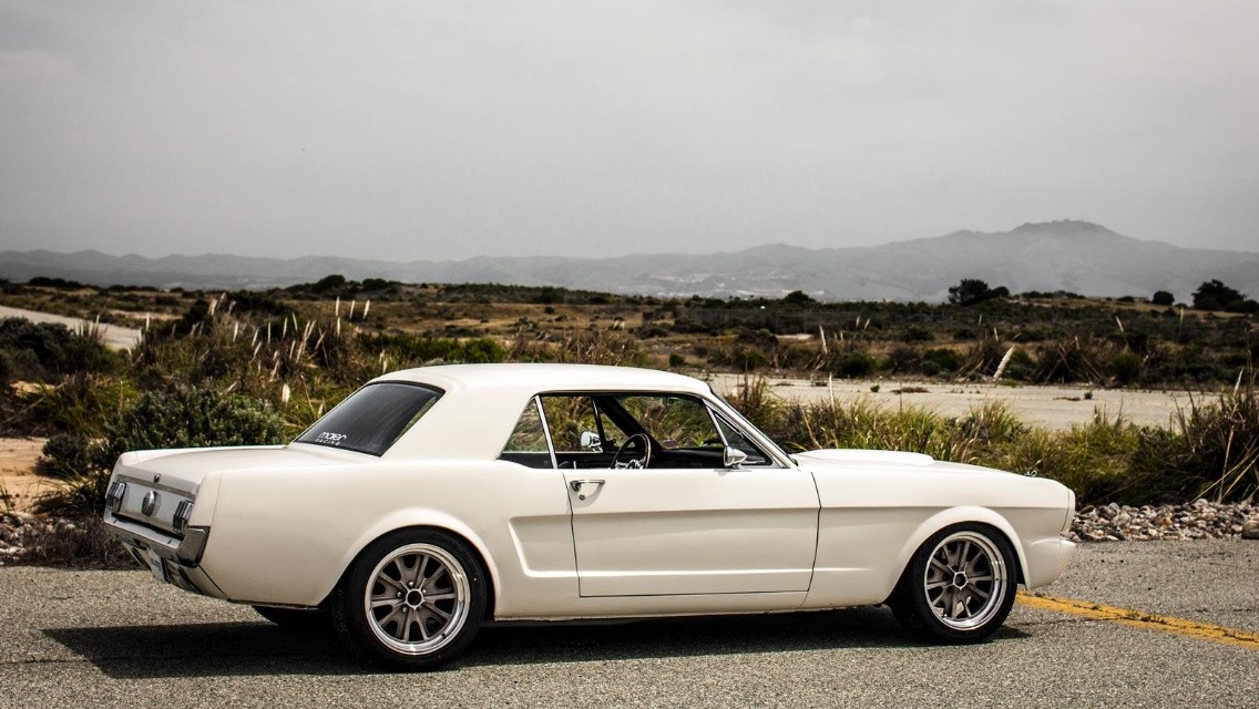 Ford Mustangs
