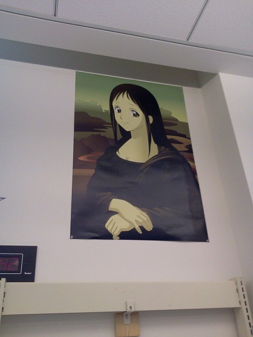 allegoricalabsurdity:i-wanna-get-in-englands-pants:orpheusly:This anime Mona Lisa is in my library h