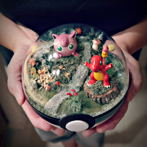 pxlbyte: Poké Ball Terrariums I wasn’t even aware that this was a thing, but you can apparently buy