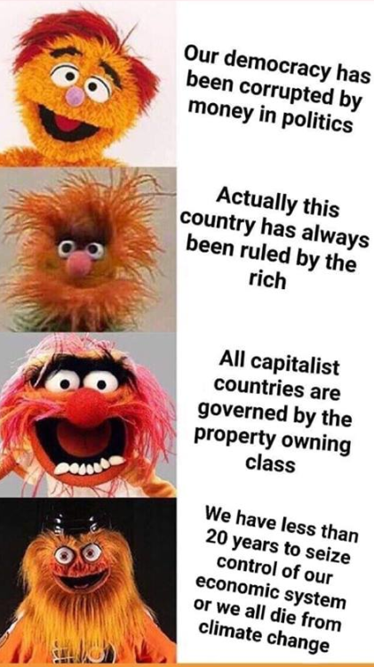 why are we here? just to suffer? every night i fee