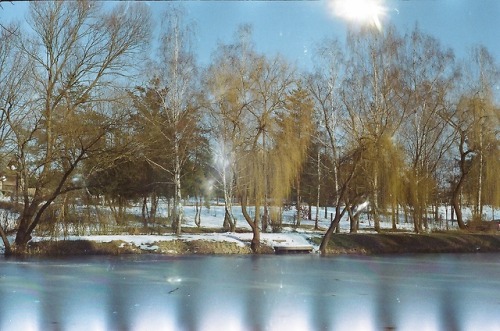 nothing gold can stay, Nograd county, Hungary2018/02expired film, got ripped out of the casette, tir