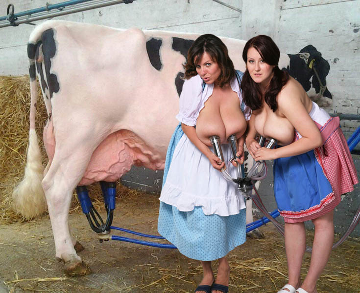 white-slave:  loveudders:   Cows and hucows milking their udders   white pigs just