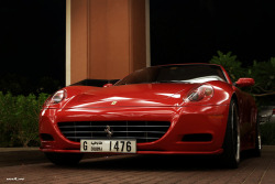 Automotivated:  05311724_副本 (By Mewzhang) 