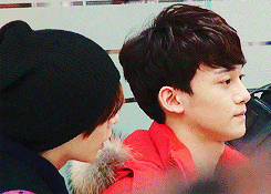 kyungsol:   beauties   