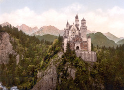 lunanatalie:Neuschwanstein castle, lived