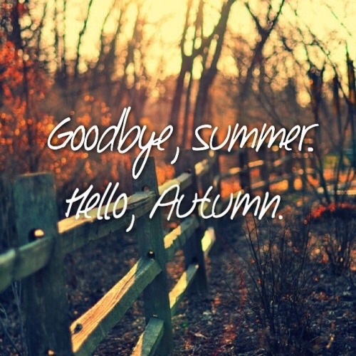 sassygapeach79:Any day now …..