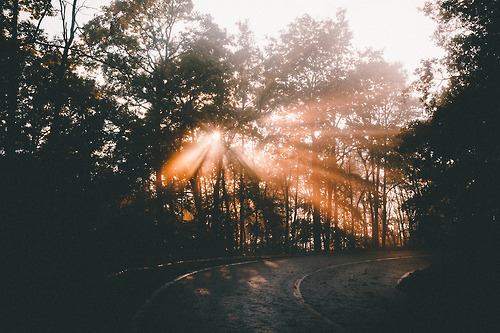 foresity:  Solar explosion (by ikhals)