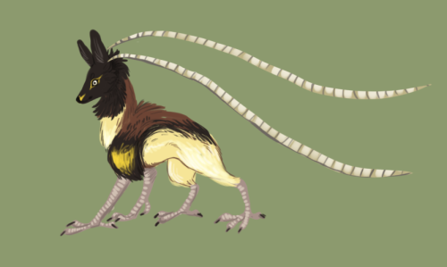 Today, i had much fun creating my very own Feonixes!They are based of; Ribbon-Tailed Astrapia, King 