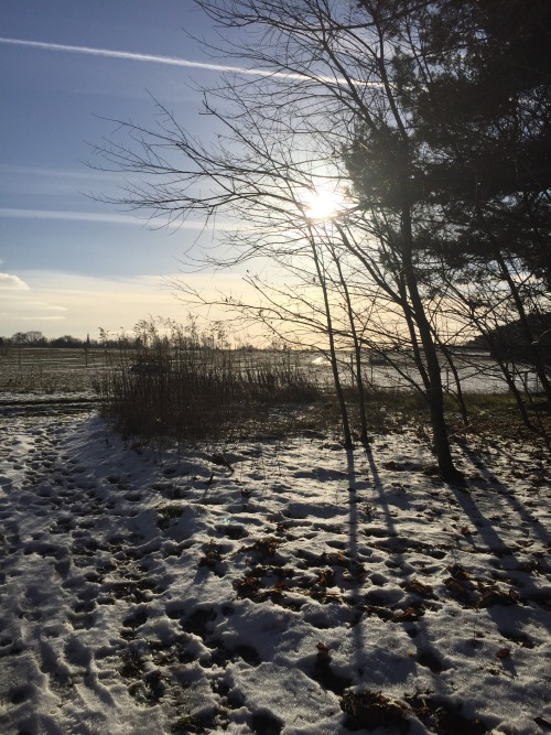 Many things suck but nature is still pretty.