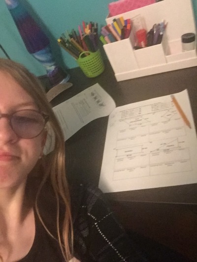 Programming Homework Help