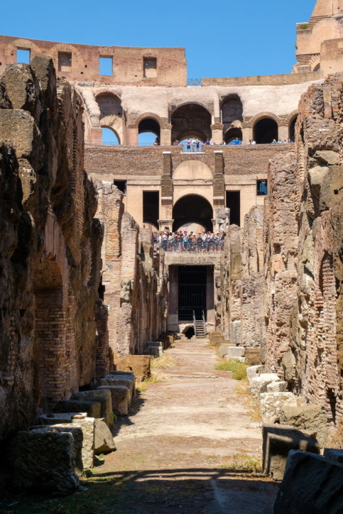 romebyzantium:Hypogeum / Underground of the Roman Colosseum. colosseumrometickets.com/hypoge