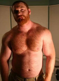 furmidable:  Nice ginger bear!