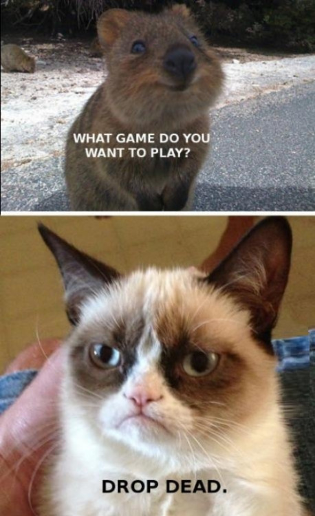Just Funny Pictures