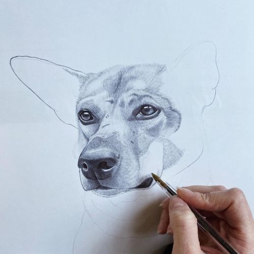 #illustration #art #artwork #artist #illustrator #puppy #dog #dogdrawing #dogsofinstagram #animal #b