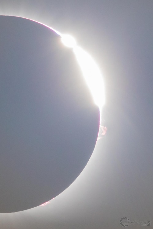 12 Frame image stack sequence of solar prominences during the &ldquo;Diamond Ring&rdquo; pha